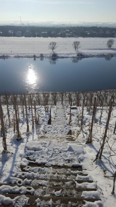19. Januar