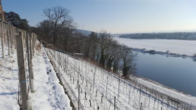 19. Januar