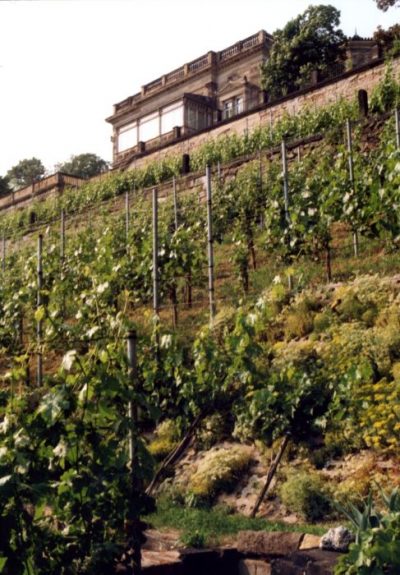 Blick bach oben