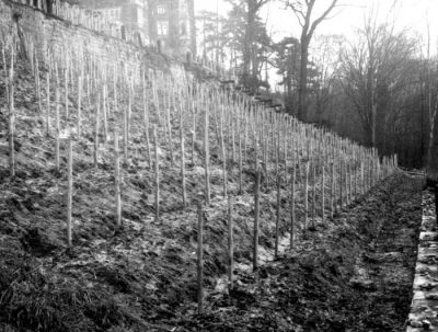 Fruehjahr 1988