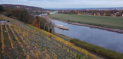 Elbdampfer abends