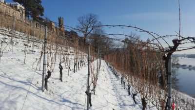 19. Januar