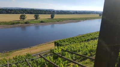 Niedrigwasser am 18. Juni