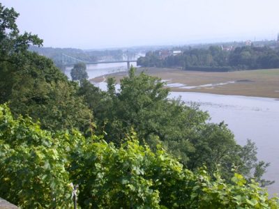 Blick zum Blaues Wunder