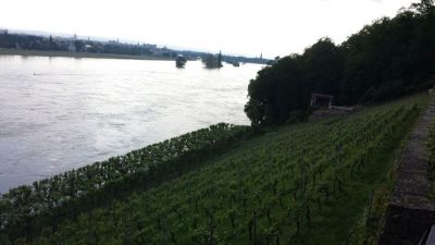 Hochwasser 2013