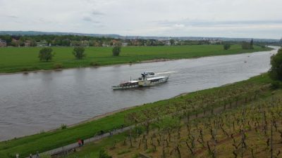Dampferparade am 1. Mai