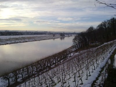 Blick auf Dresden im Winter