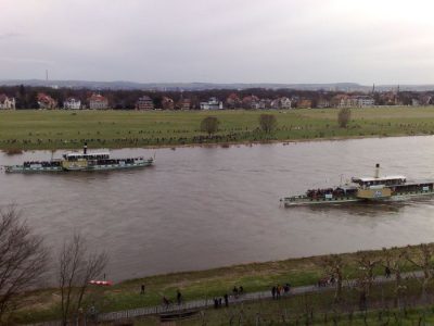 Dampferparade der Weißen Flotte