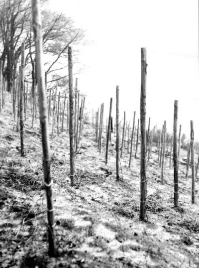 Fruehjahr 1988