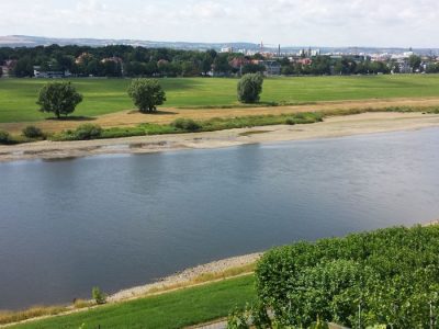 Niedrigwasser am 23. Juli, Pegel Dresden 79 cm