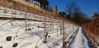 15 cm Schnee am 3. Februar