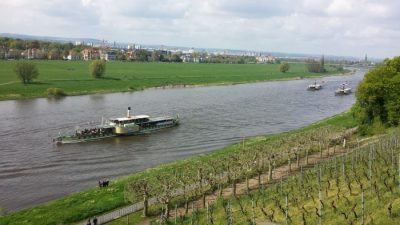 Dampferparade am 1. Mai