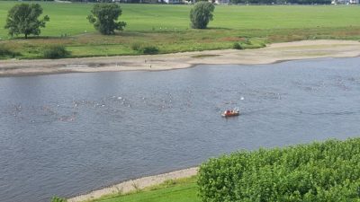 Elbeschwimmen am 6. August