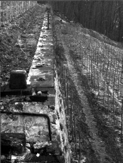 Fruehjahr 1988