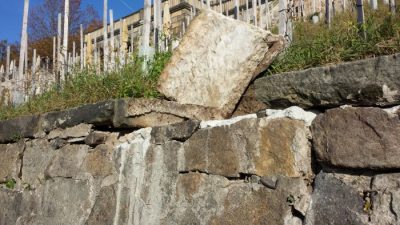 Instandsetzung der Weinbergsmauer