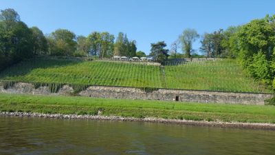 Männertag Weinberg Schloß Albrechtsberg