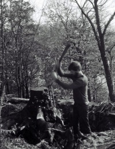 Baum ausgraben